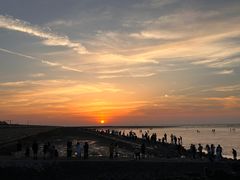 -南汇新城海滩