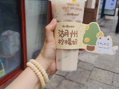 -猫的魔法密林(衣裳街店)