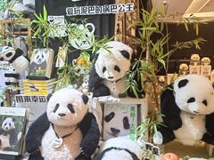 -轩客会(熊猫书店)