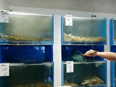 水产区-赶海部落海鲜城(海阳路店)