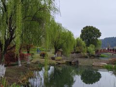 -径山花海