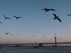 -星海广场