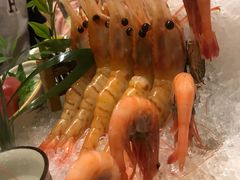 -割烹酱子日本料理(弘基财富广场店)