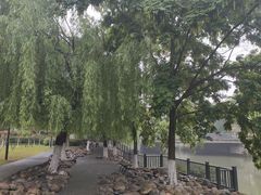 -沙河三洞古桥公园