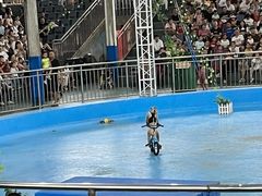 -泉州海丝野生动物世界