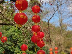 -深圳仙湖植物园