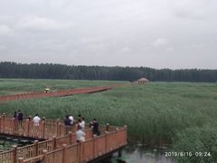 -白洋淀景区