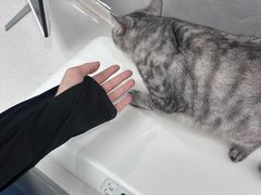 -博特宠物医院24h犬猫全科.骨科·异宠