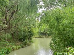 -同里国家湿地公园