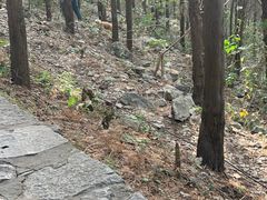 -云龙山