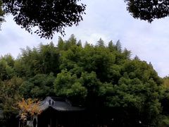 -汇龙潭