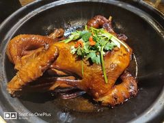 -广信传说