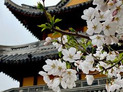 -龙华寺
