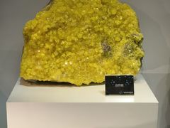 -中国地质博物馆