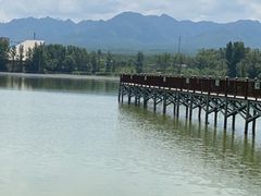 -中华三祖圣地黄帝城遗址文化旅游区