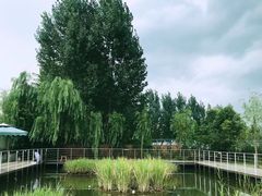-午后庭院