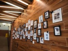 -美联众合宠物医院·爱萌分院·内外科·猫科中心