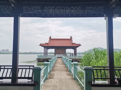 -无锡蠡湖国家湿地公园-蠡园