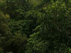 -全季酒店(广州越秀公园店)