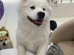 -怪兽屋·羊驼·猫咖·狗咖(俊华广场店)