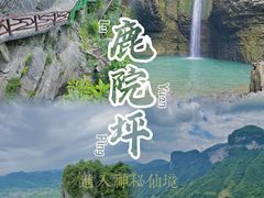 -鹿院坪生态旅游景区