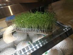-椰子营·椰子鸡火锅(万象里店)