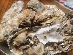-蚝堡海鲜·威海菜·海肠捞饭·烧烤·亚洲吃蚝公司(幸福门店)