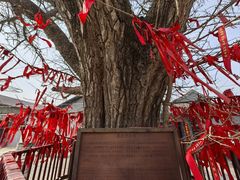 -康陵正德春饼宴26号