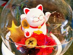 -拾花记花艺·求婚·订婚·生日布置(高新店)