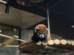 -Zoolung Zoolung动物主题公园(海信广场店)