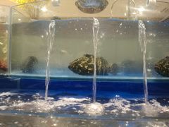 -海景壹号大酒店(惠钱路店)