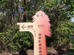 -上海海湾国家森林公园