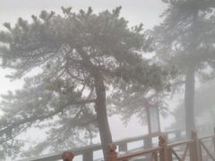 -庐山风景区花径公园
