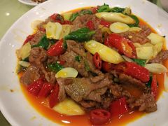 -曾牛肉