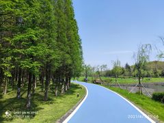 -宜兴龙背山森林公园