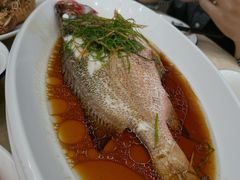 -锐记美食店·现捞海鲜(闸坡店)