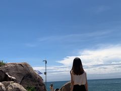 -广东惠东海龟国家级自然保护区