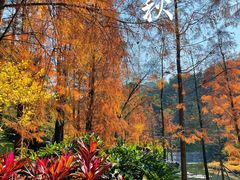 -云溪植物园