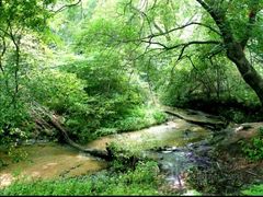 -大青沟风景区