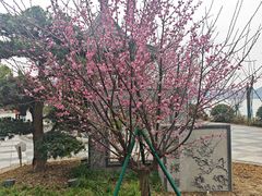 -东钱湖小普陀景区