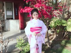 -东京浅草和服体验江户和装工房雅(浅草本店)