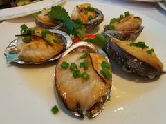 陈皮丝蒸鲍鱼-山泉公馆酒家(珠江新城店)
