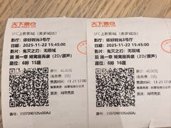 -SFC动漫主题影院(美罗城店)