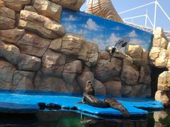 -华夏文旅海洋公园