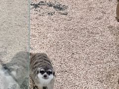 -海合安武汉极地海洋公园