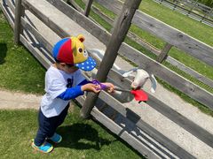 -前小桔亲子创意农场·草莓采摘·露营烧烤