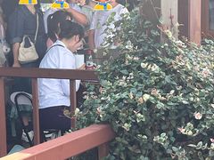 -西湖游船
