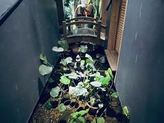 -邈墨茶馆(凤起路店)