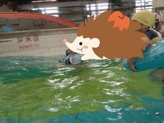 -南宫温泉水世界