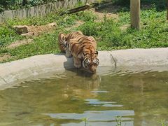-泉州海丝野生动物世界